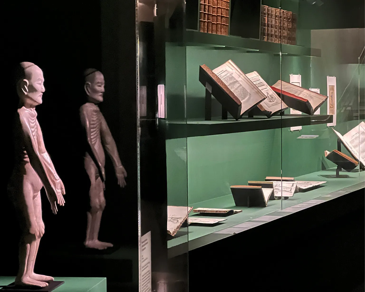 Musée Guimet, Paris (75)