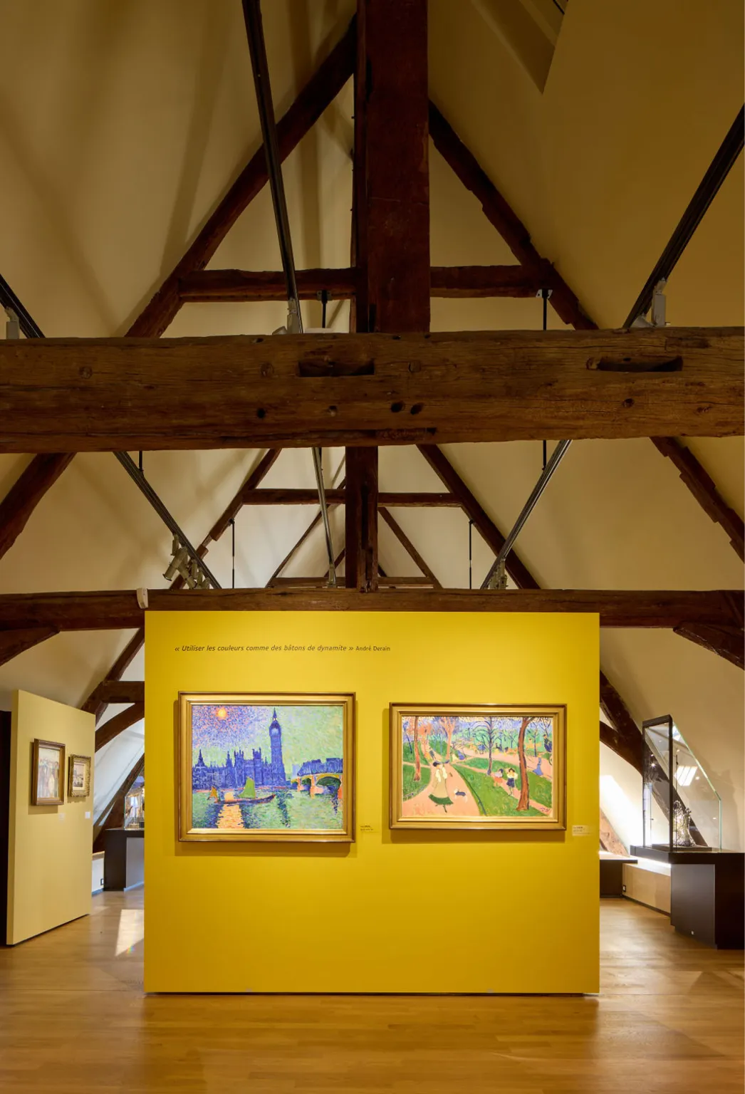 Musée d’Art Moderne de Troyes, Troyes (10)